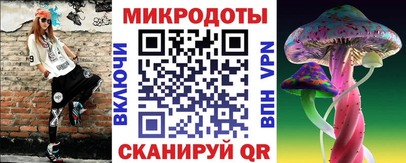 закладка  Северобайкальск  Галлюциногенные грибы GOLDEN TEACHER 